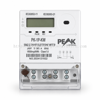 Single Phase 2 Wire 60A KWH Meter