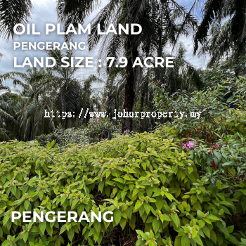 Agricultural Land, Pengerang, Johor Bahru