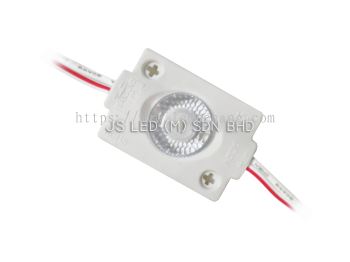 LED Module 5050 1Pixel(1.5W) 