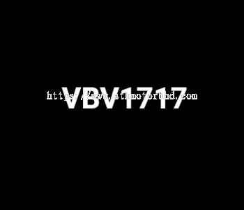 VBV1717 - Unique Number Plate for Sale