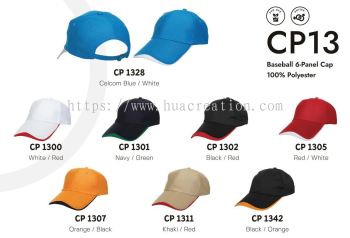 CAP - CP13