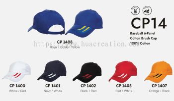 CAP - CP14