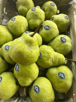 SA Packham Pear