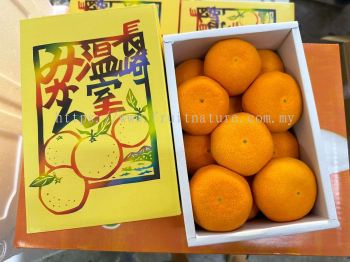 Nagasaki Mikan Giftbox 1kg