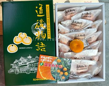 Ehime Dogo Story Mikan Giftbox