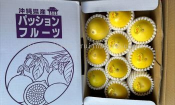 Okinawa Yellow Passion Fruit Giftbox