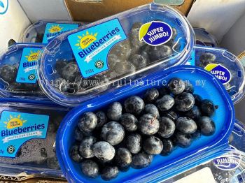 Australia Blueberry 200g (Pack)