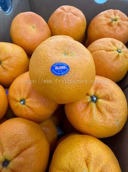 Australia Honey Murcott Orange