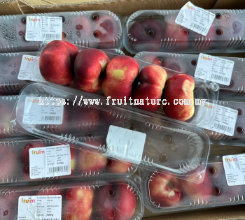 Spain Donut Nectarine (Pack)