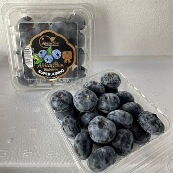 SA Blueberry 125g (Pack)