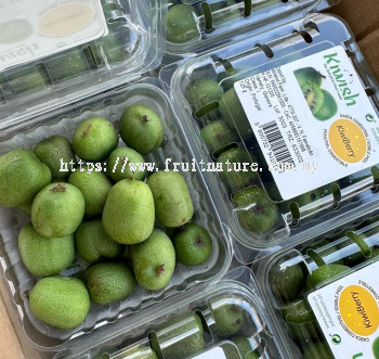 Portugal Kiwiberry (Pack)