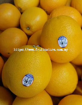 Navel Sunkist Orange