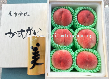 Yamanashi Kasugai Award Winners  Peach Giftbox