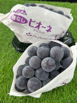 Yamanashi Grape Pione