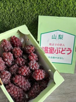 Yamanashi Grape Delaware