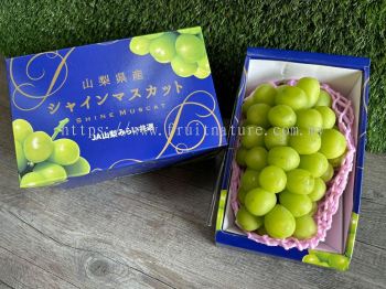 Yamanashi Grape Shine Muscat Giftbox