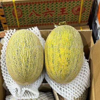 China Hami Melon