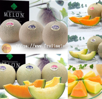 Yamagata 3 color melon