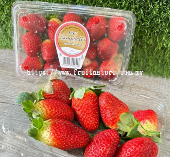 Australia Strawberry (Pack）