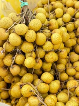 Thailand Longan