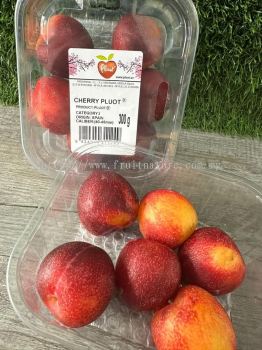 Spain Cherry Pluot (Pack)