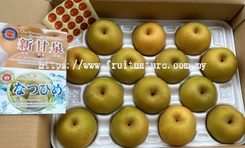 Tottori Shinkansen Pear Giftbox