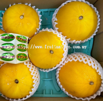 Aomori Bonanza Yellow Melon