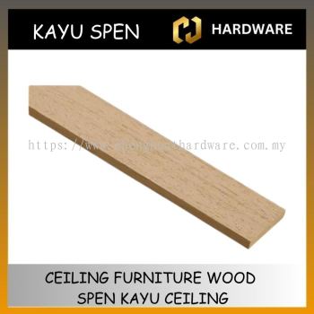 CEILING FURNITURE WOOD