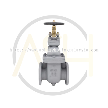 Marine Cast Iron Gate Valve