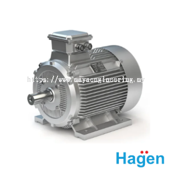 Hagen IE3 Series