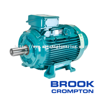 BROOK CROMPTON W Cast Iron Motors