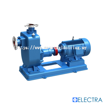 ELECTRA Pump ESSG Series