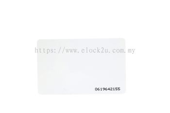 MF100 Mifare Card