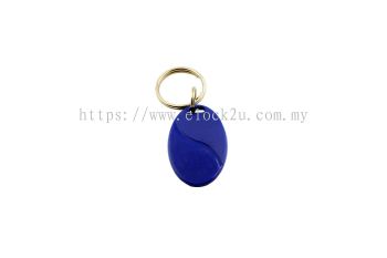 Proximity Key FOB EM210