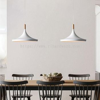 MODERN DECORATIVE PENDANT LIGHT - 9110/A