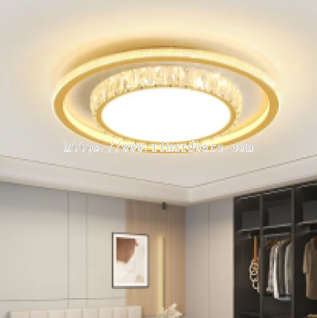 Modern LED Ceiling Lights with 3 color changing - 13928