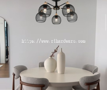 Modern Nordic Ceiling Lights Ceiling Lamps - 14963/5C