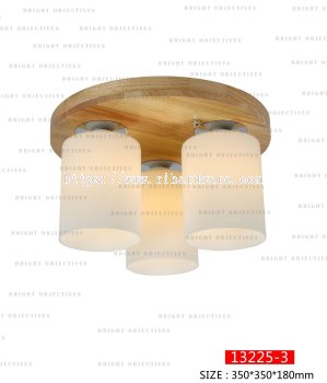 Modern Nordic Ceiling Lights Ceiling Lamps - 13225/3C