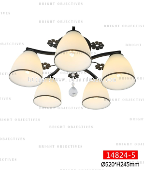 Modern Nordic Ceiling Lights Ceiling Lamps - 14824/5C