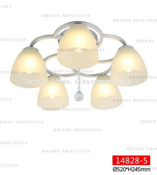 Modern Nordic Ceiling Lights Ceiling Lamps - 14828/5C