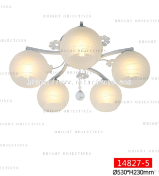 Modern Nordic Ceiling Lights Ceiling Lamps - 14827/5C