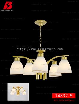 Modern Nordic Ceiling Lights Ceiling Lamps - 14837/5C