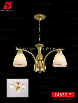 Modern Nordic Ceiling Lights Ceiling Lamps - 14837/3C