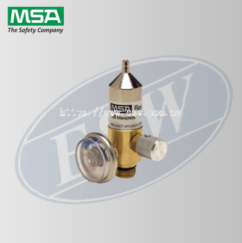 KIT,GAS CAL,RP0.25LPM REG,30FT TBNG,CAP