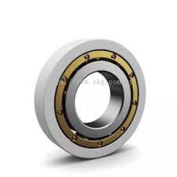 Custom Industrial Electric Bearings