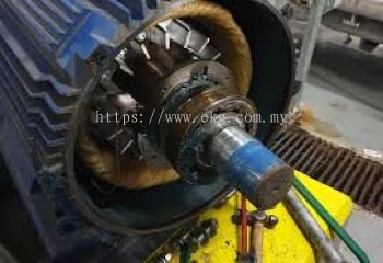 Electric Bearing Vibration Analysis