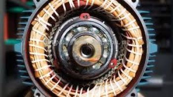 Electric Bearing Noise Troubleshooting Service