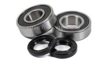 Electric Motor Bearing Repair