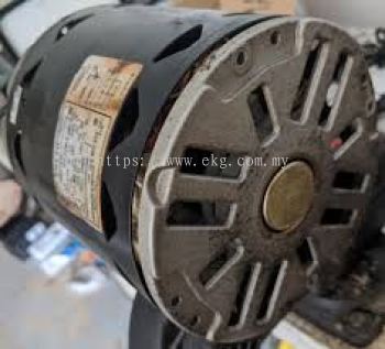 Fan Motor Bearing Replacement