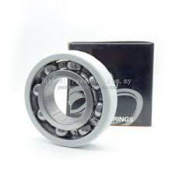 Corrosion Resistant Electric Bearings